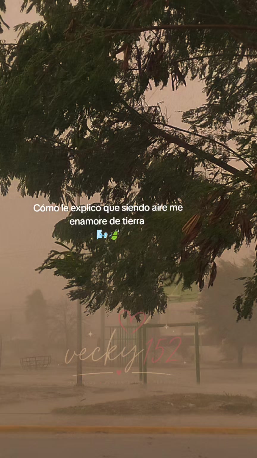 @vecky