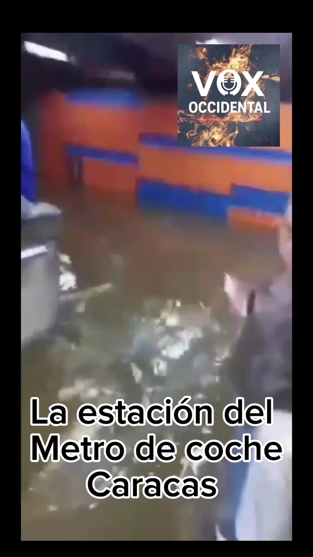 @Vox Occidental