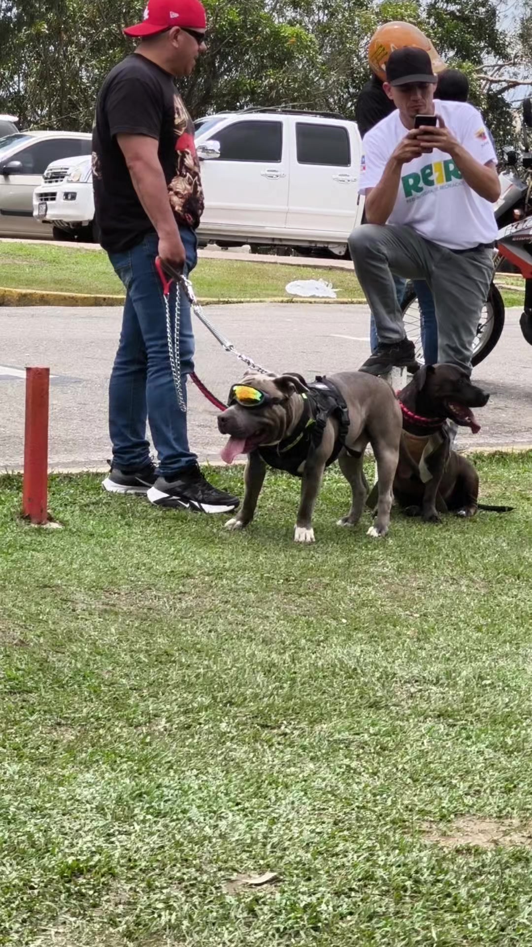 @La Mamacitrica