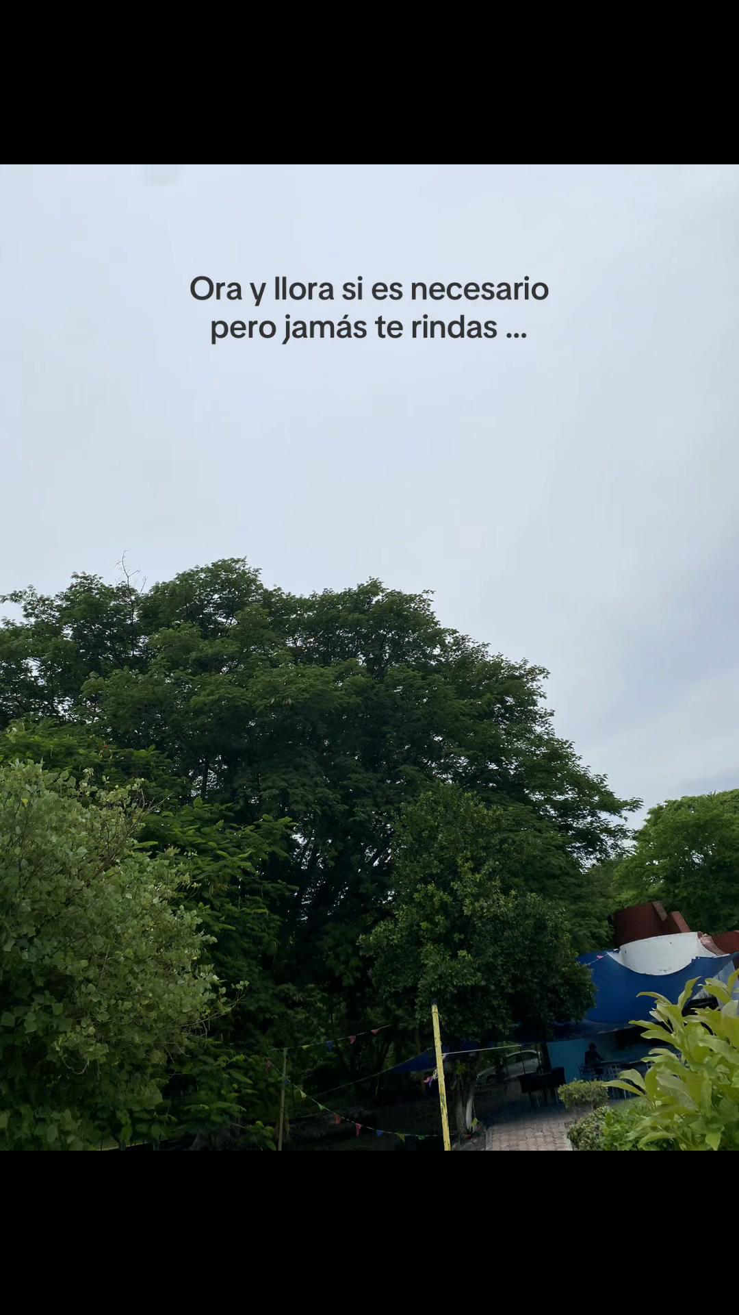 @🌙