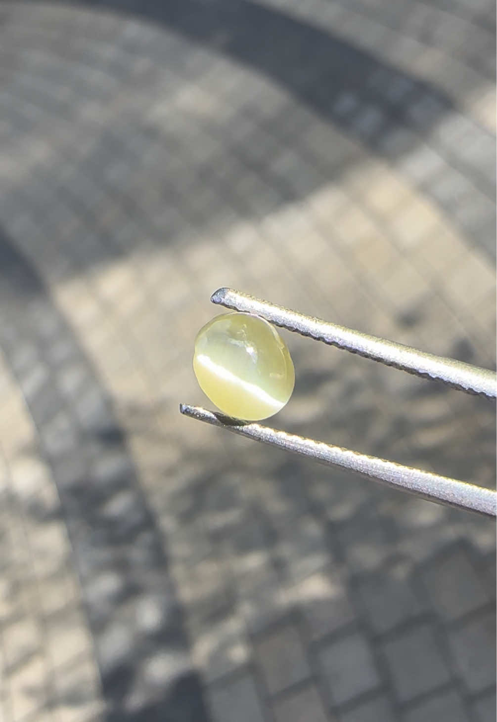@Ceylon Gems Diary
