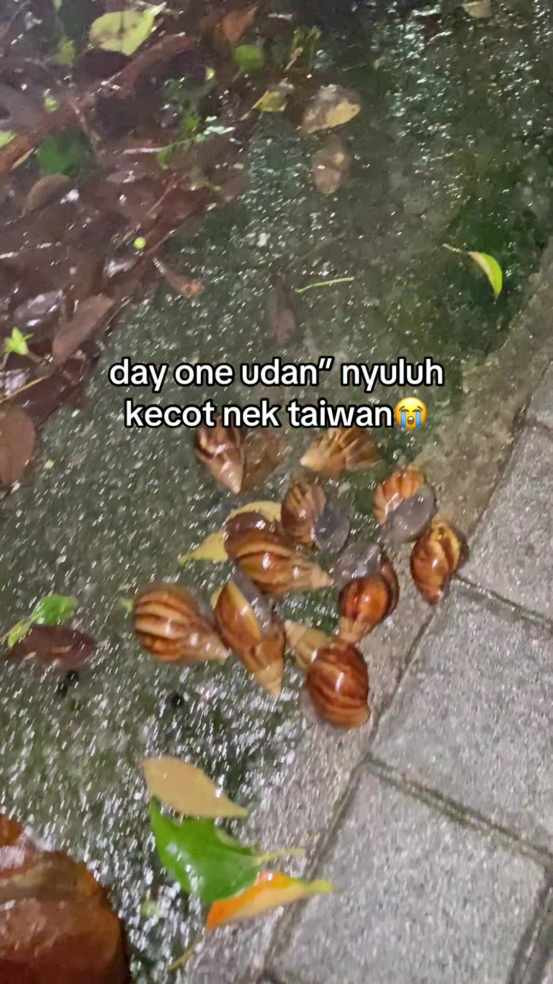 @ANAKE GEGER❗️❗️