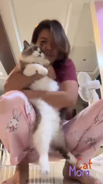@BecauseCats