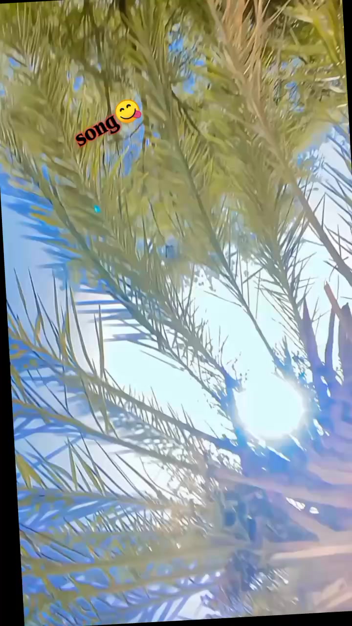 @🤏👮نصر خیل مگن 🫀🥷🏻