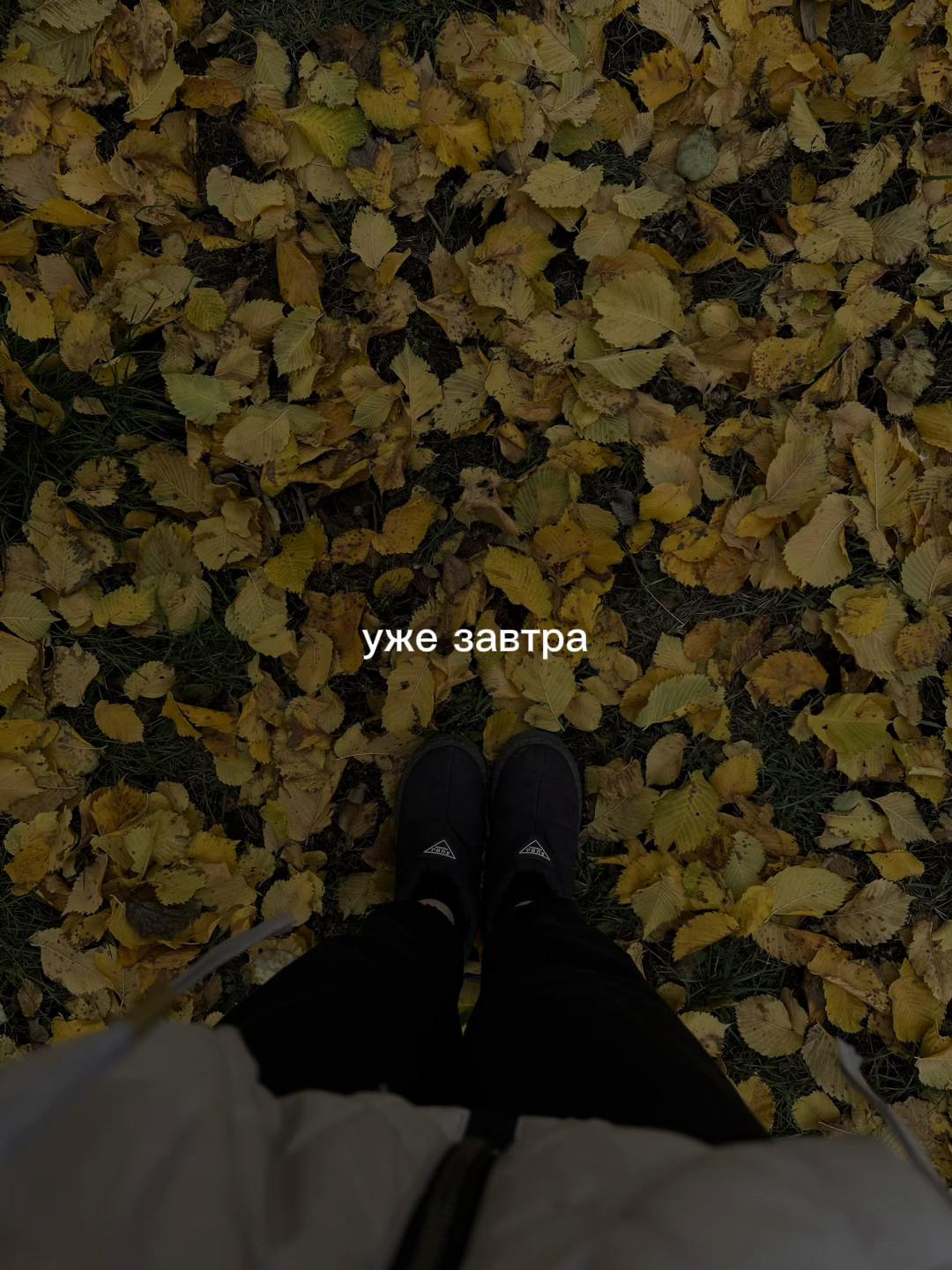 @Tasya