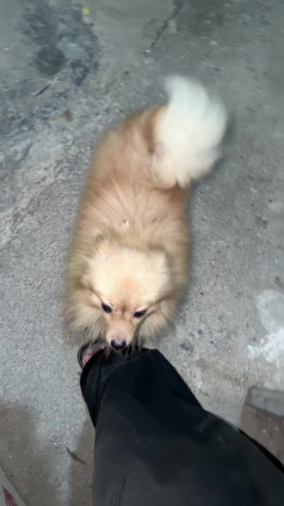 @ជុំសៅ ✓