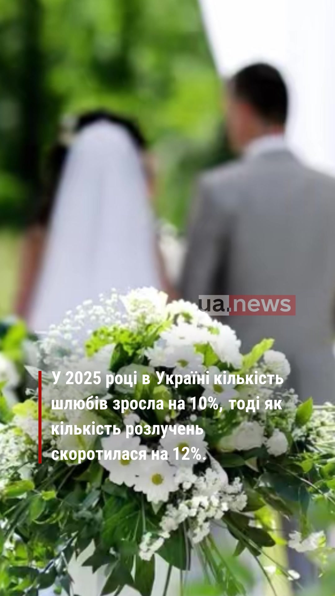 @UA.NEWS