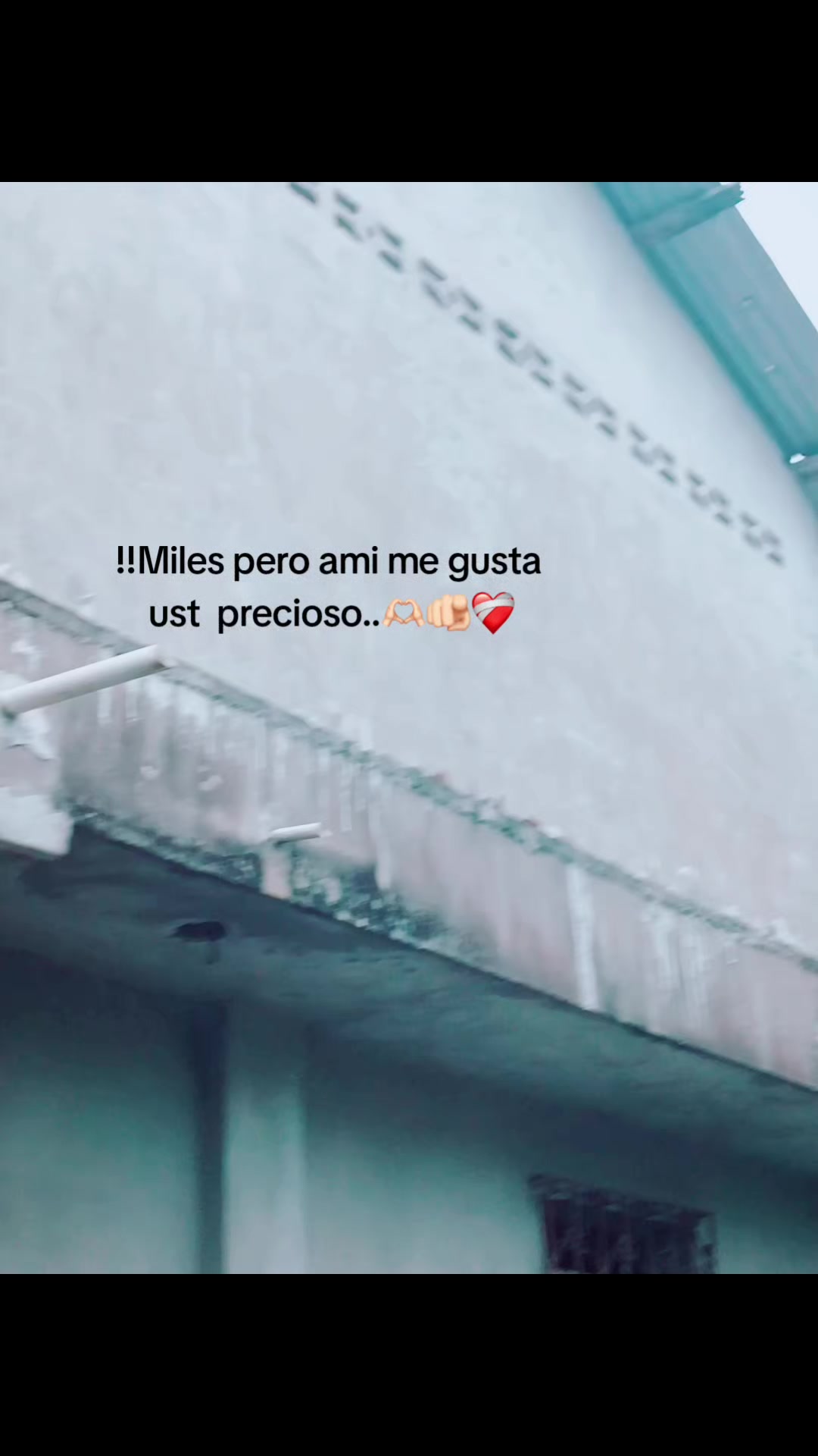 @꧁🧸✨️Tus Frases✨🧸꧂