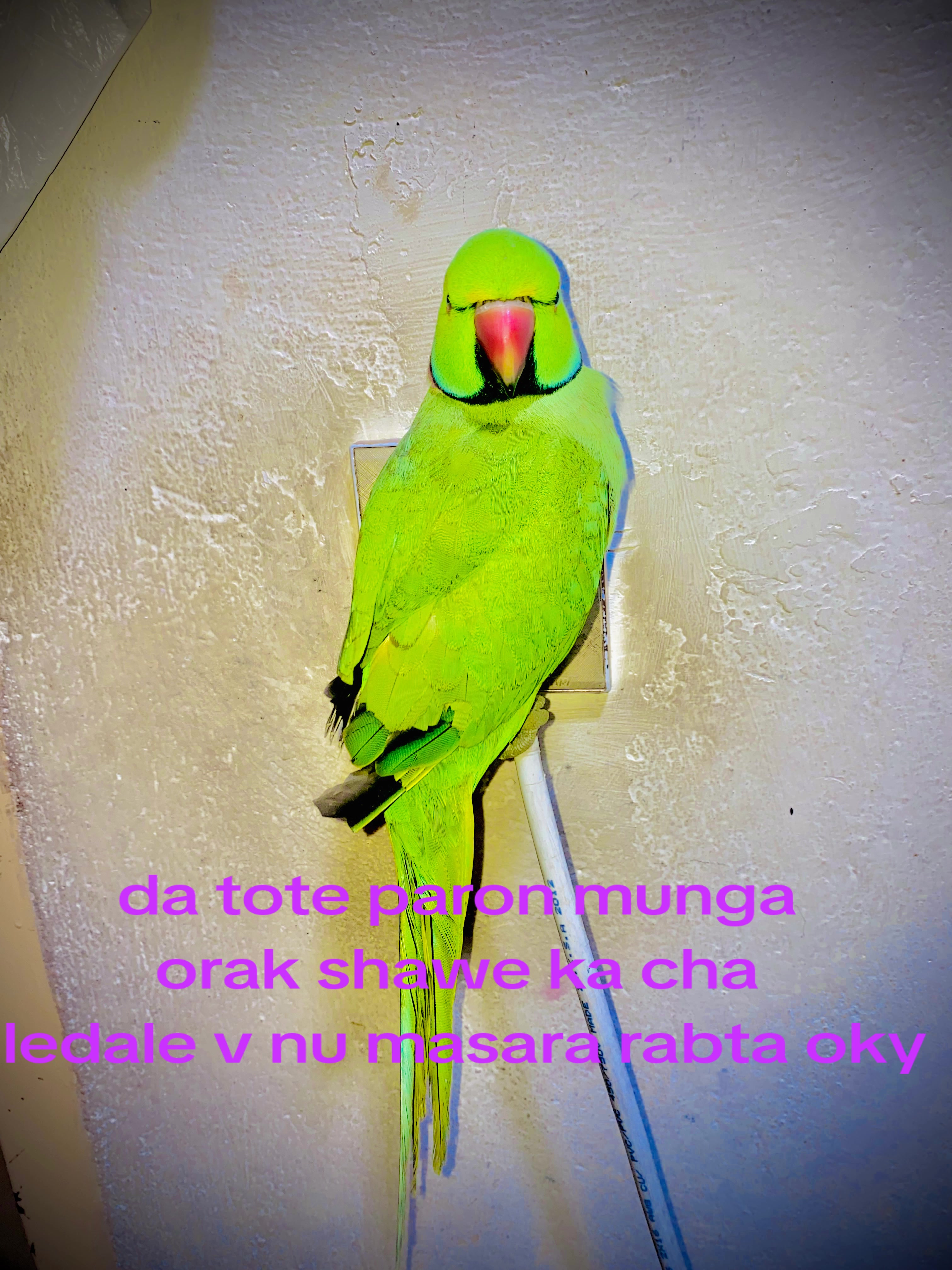 @SaRkaR 9t9