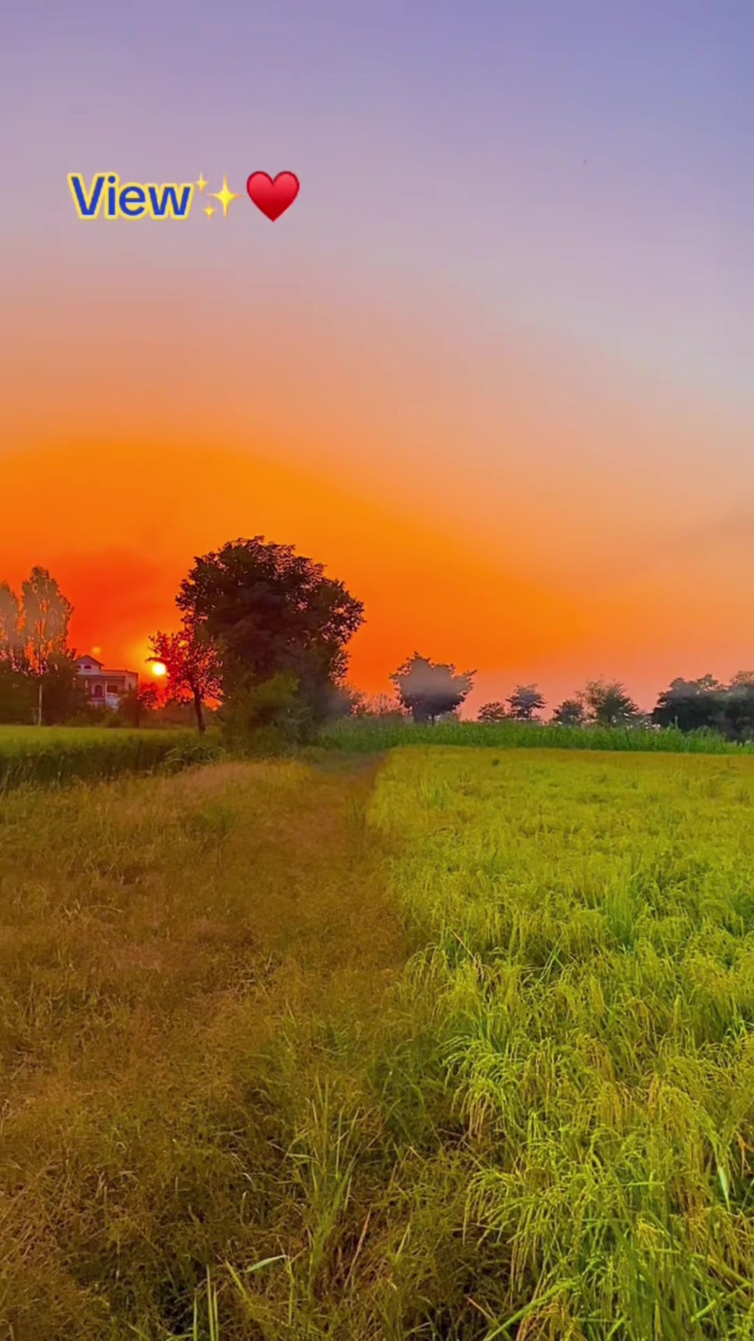 @Salman Ranjha