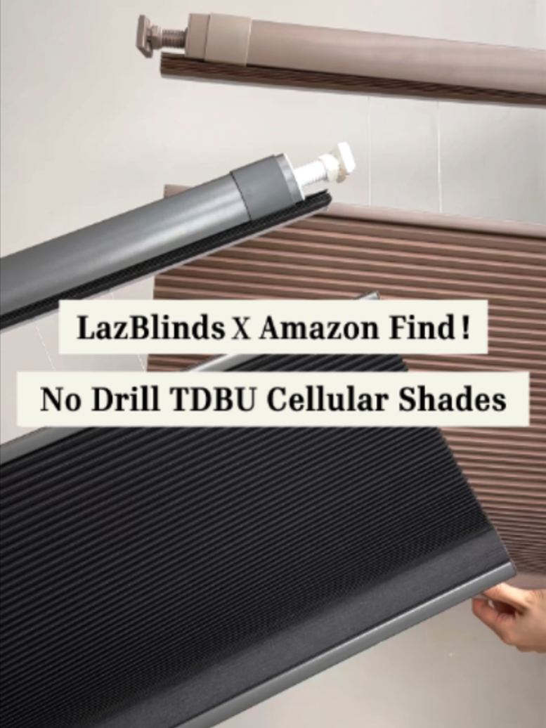 @LazBlinds