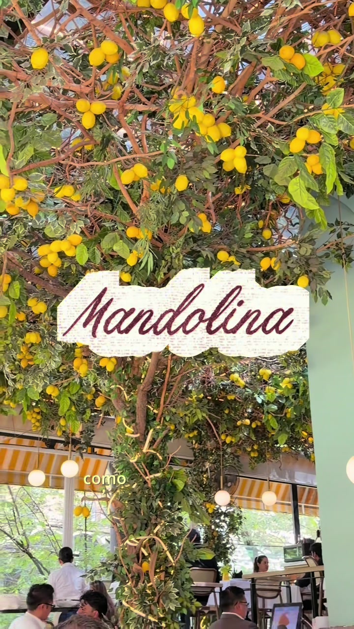 @Renata LUNA 🍸💋