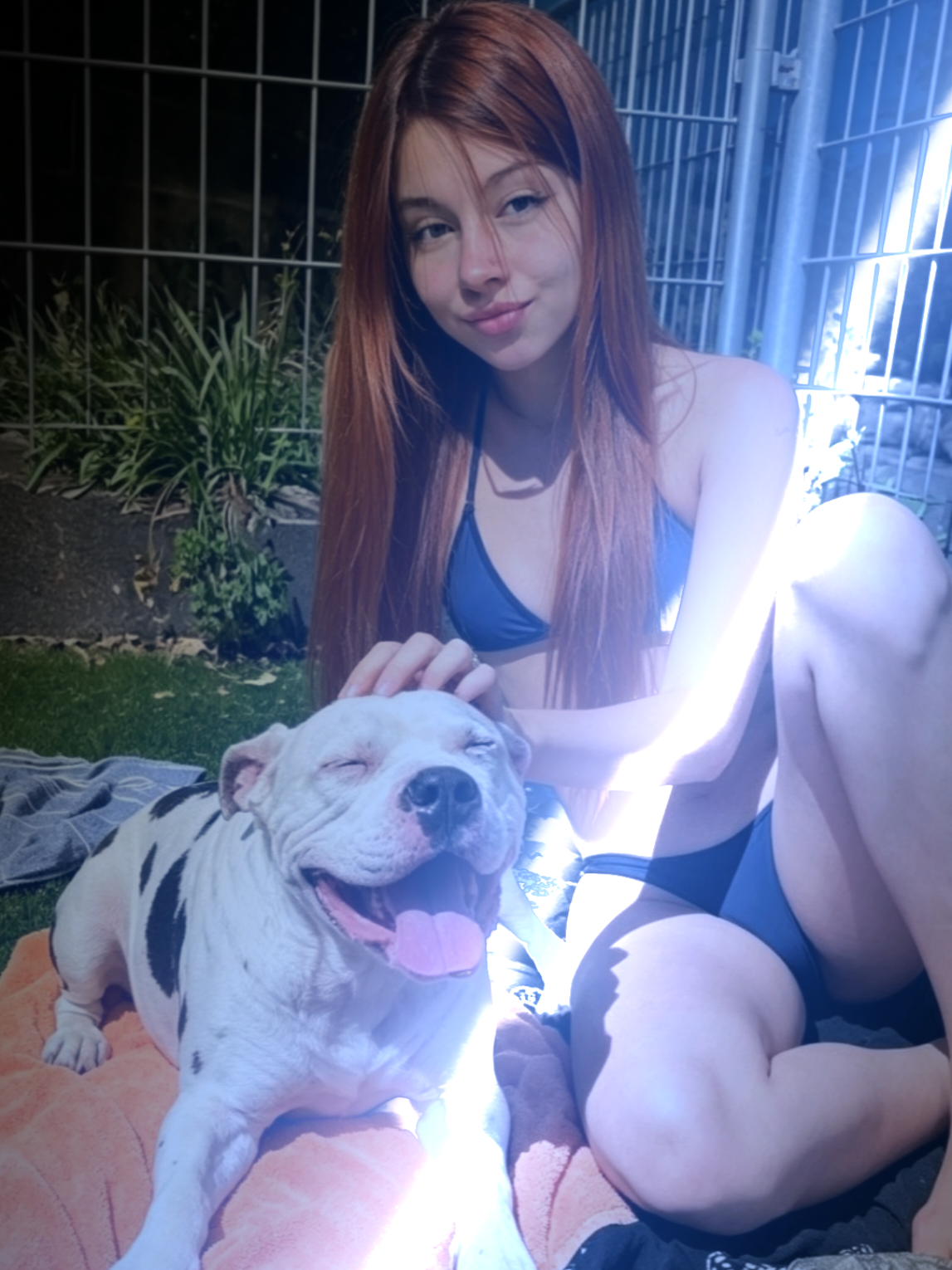 @DogsAndGirls