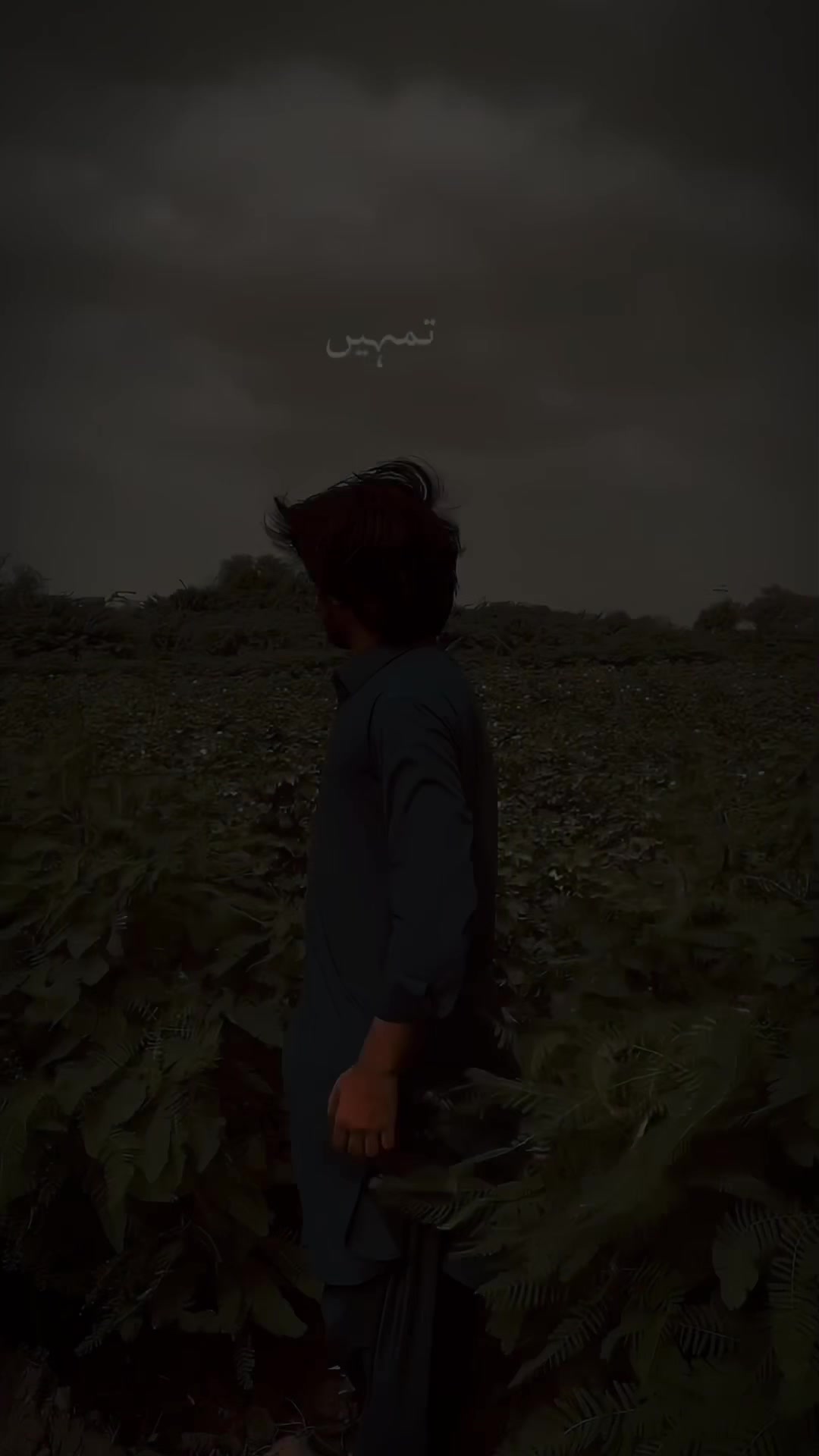 @Shobi 🕊