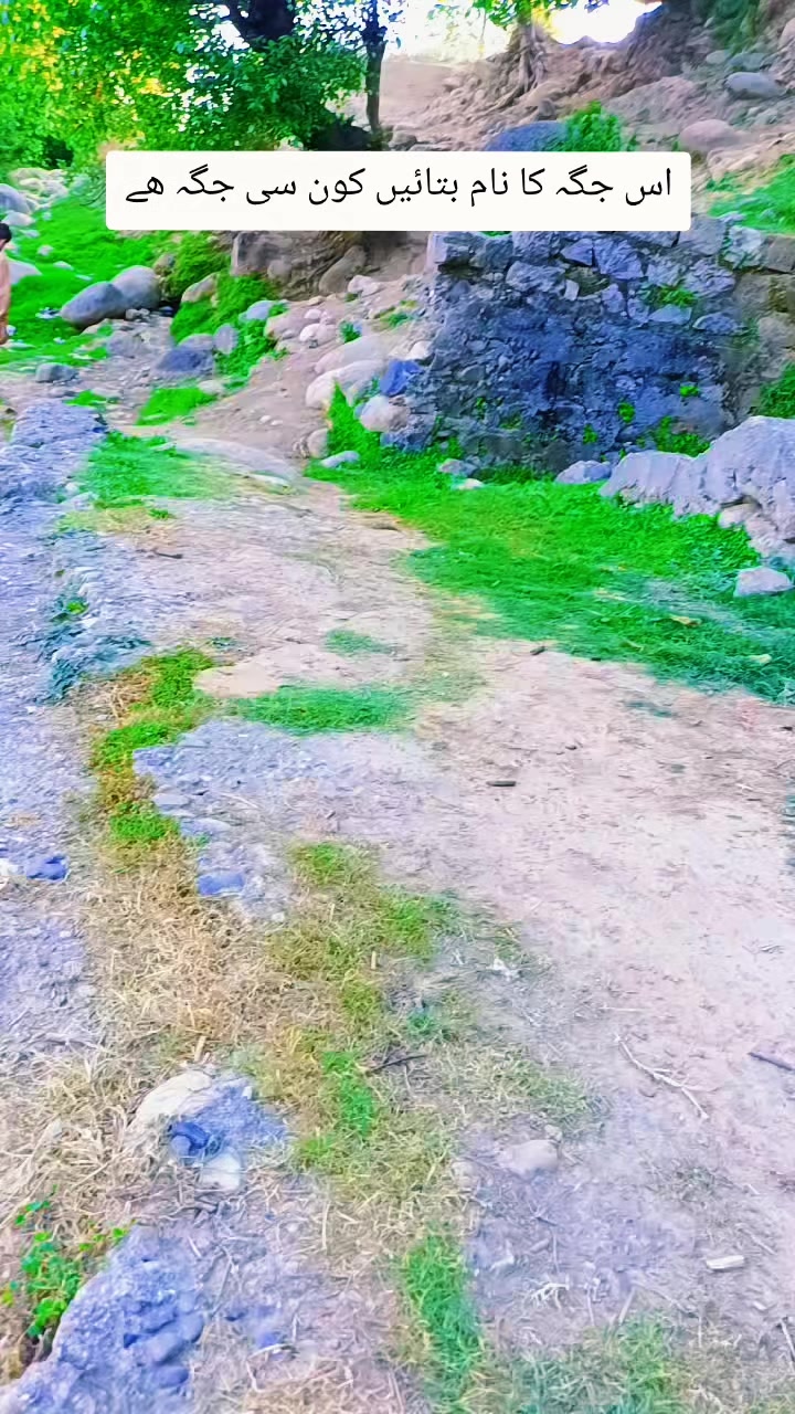 @Abdul Aziz Sabri