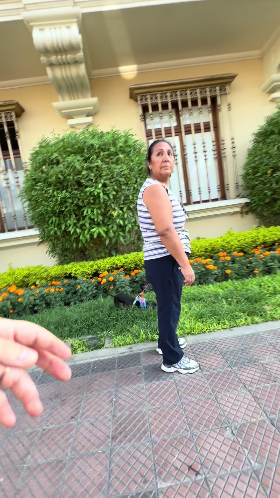 @majo silva