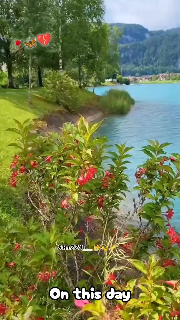 @مایہ سیــْــْـاہ بَـــ٘ــخت💔