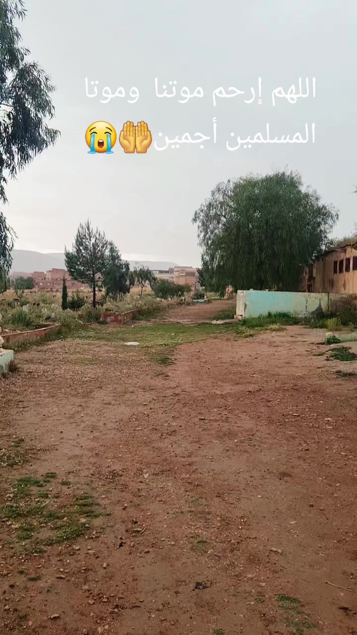 @Samo Migra