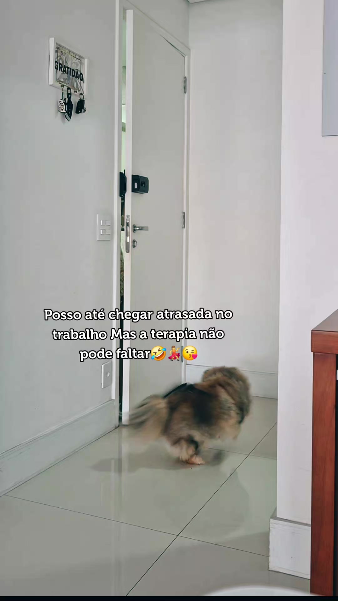 @Lilifeliz