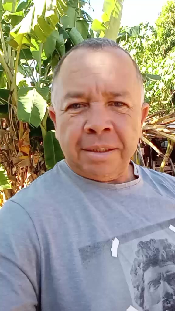 @maurotavares488
