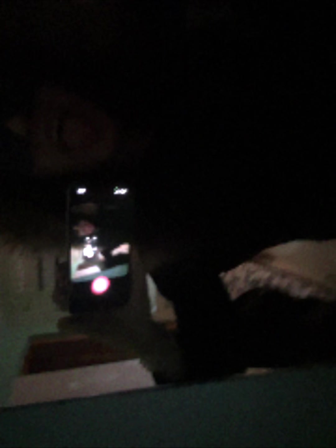 @l3roym3rlin