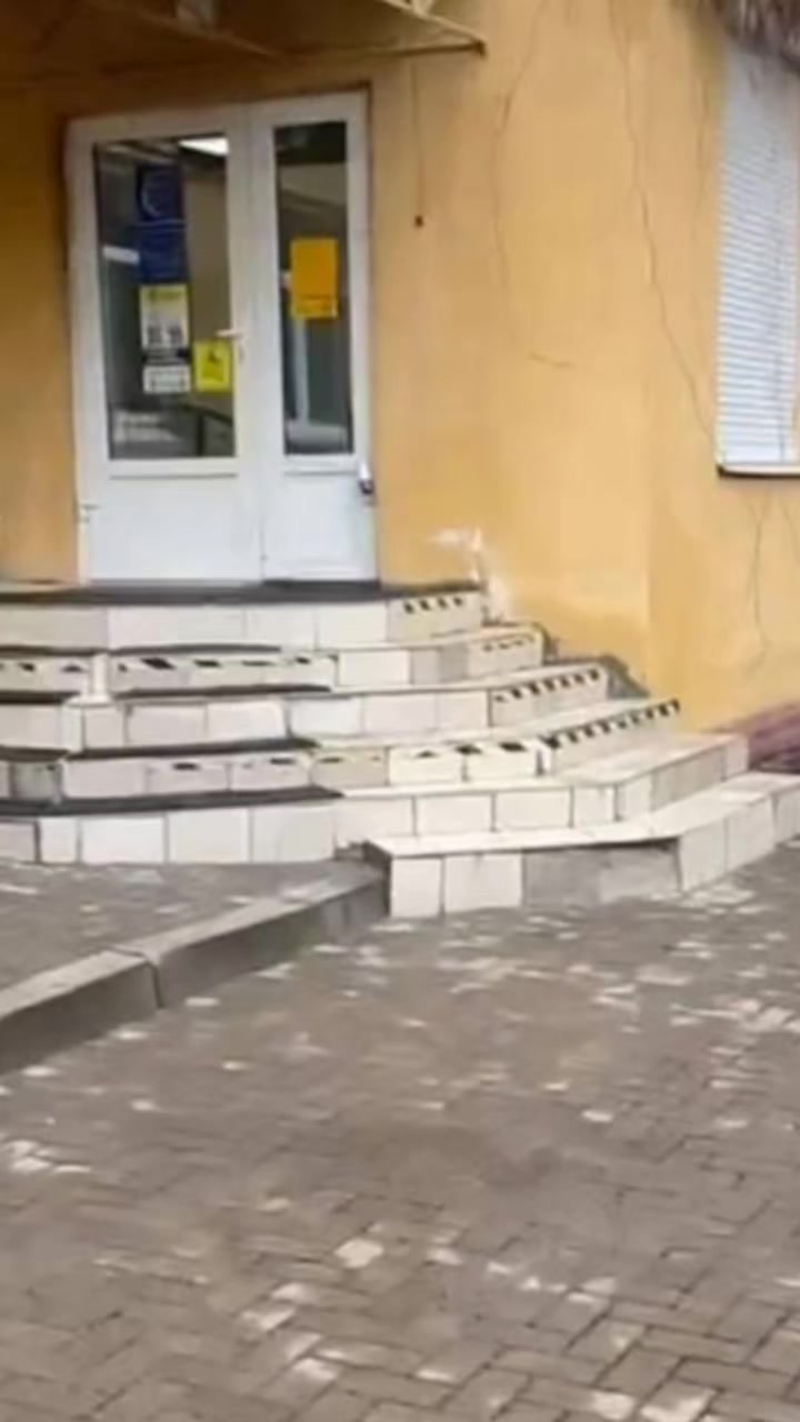 @Василий Васильевич