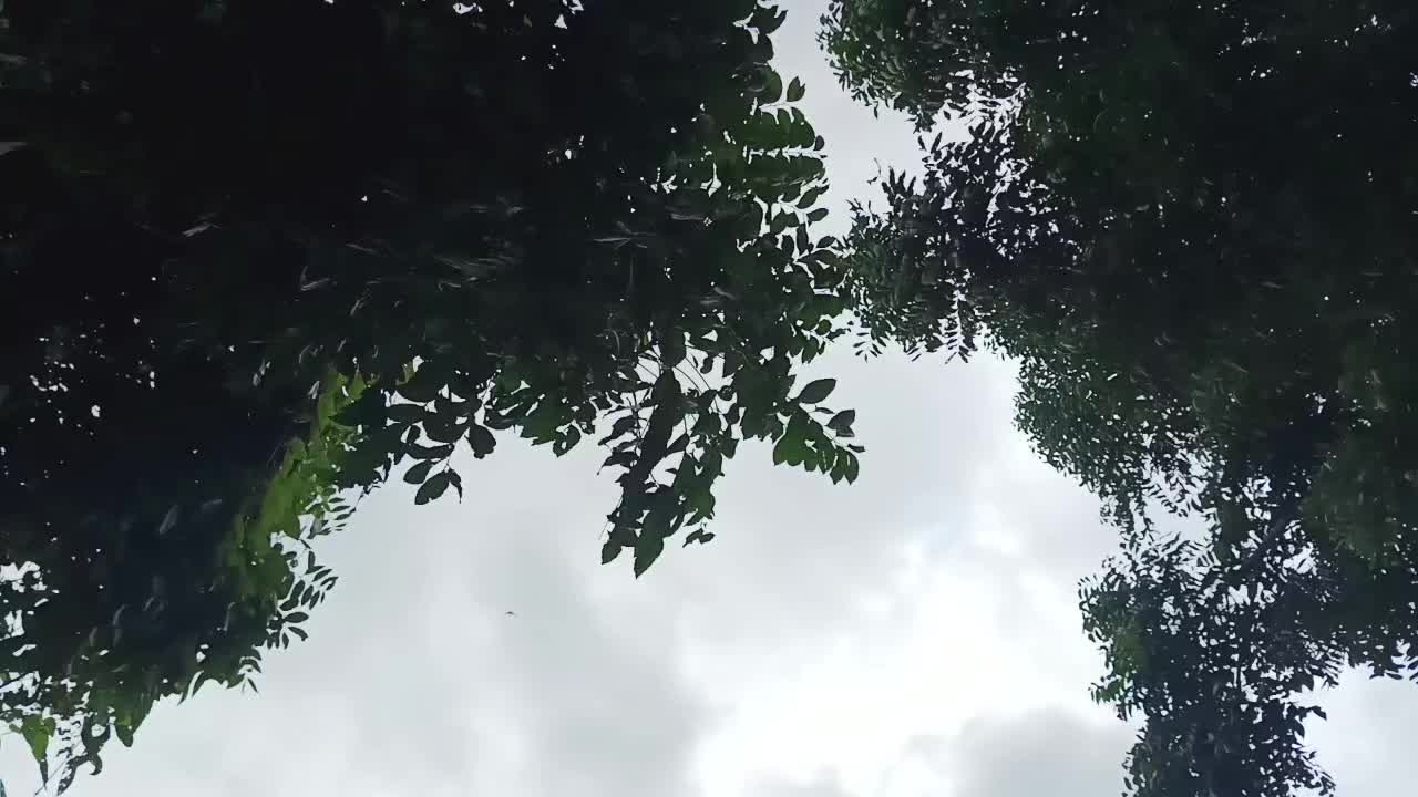 @MESUK