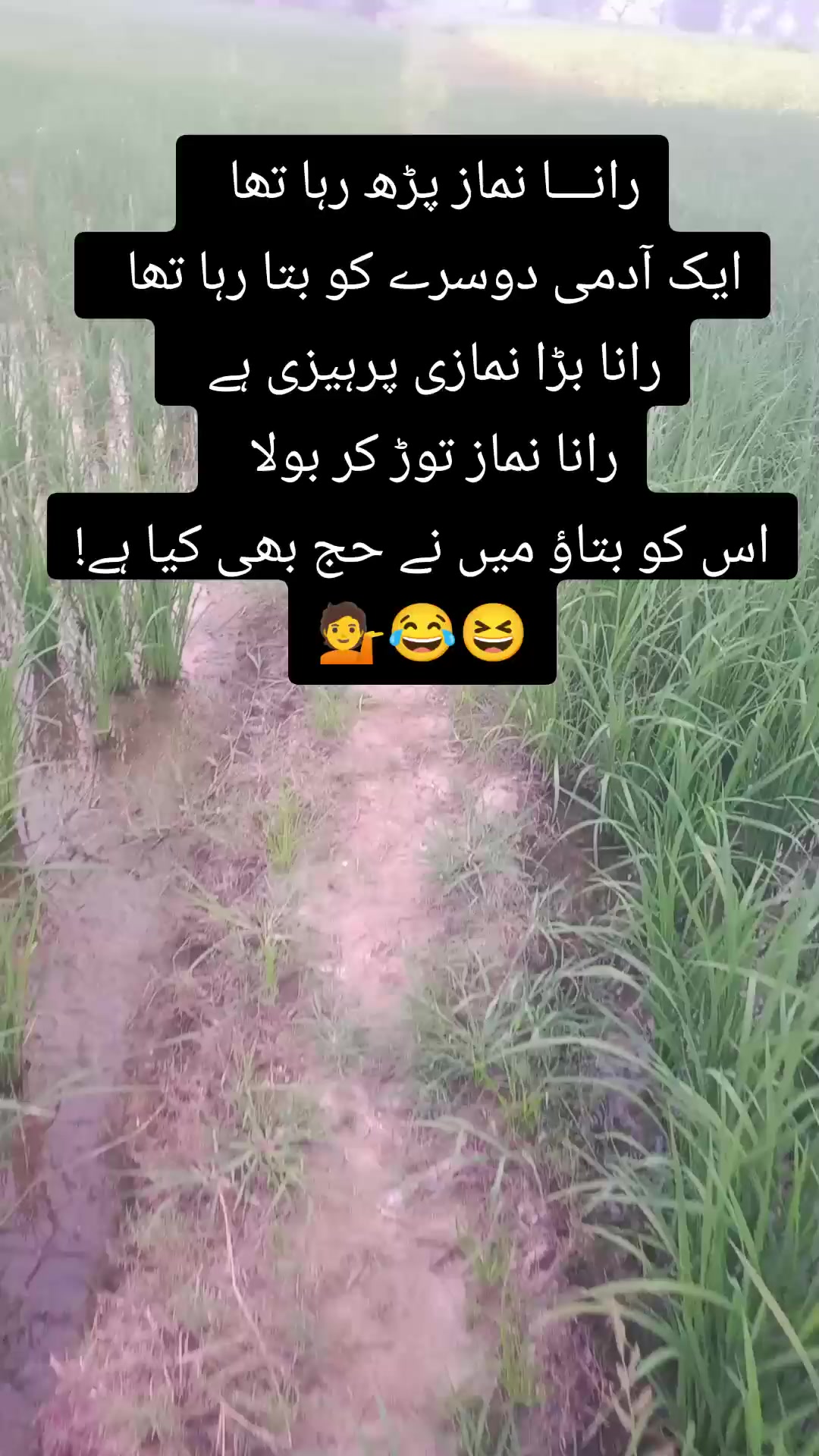 @═✶✦࿐Ɀ𝗶ᗪ𝚒✯᭄𝝝𝐣𝐣𝚒✦✶═