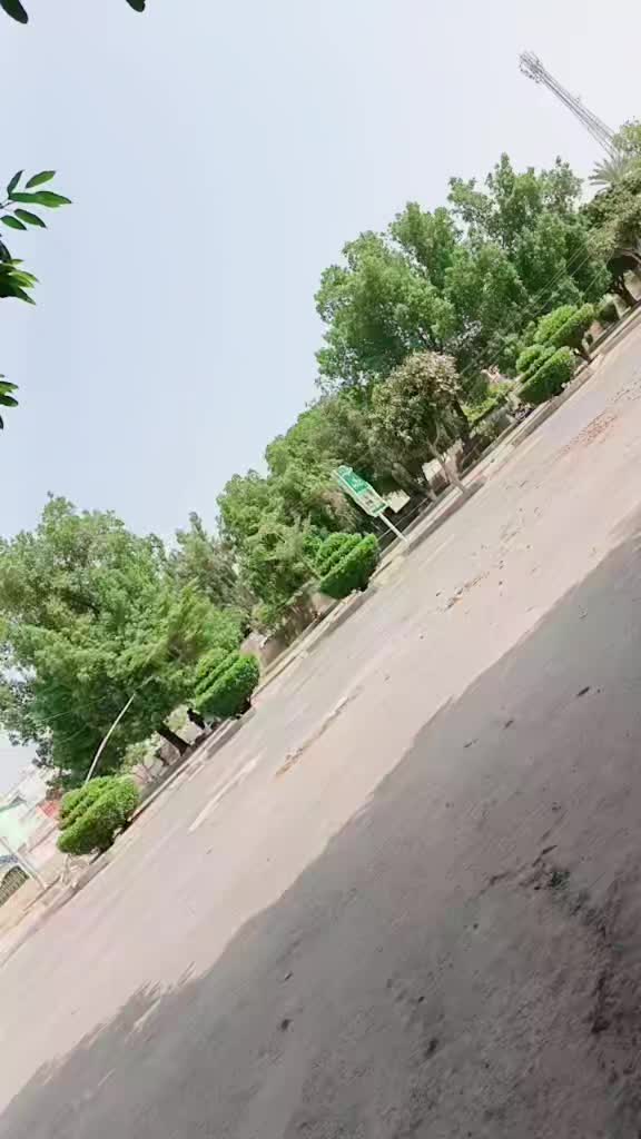@shezadi