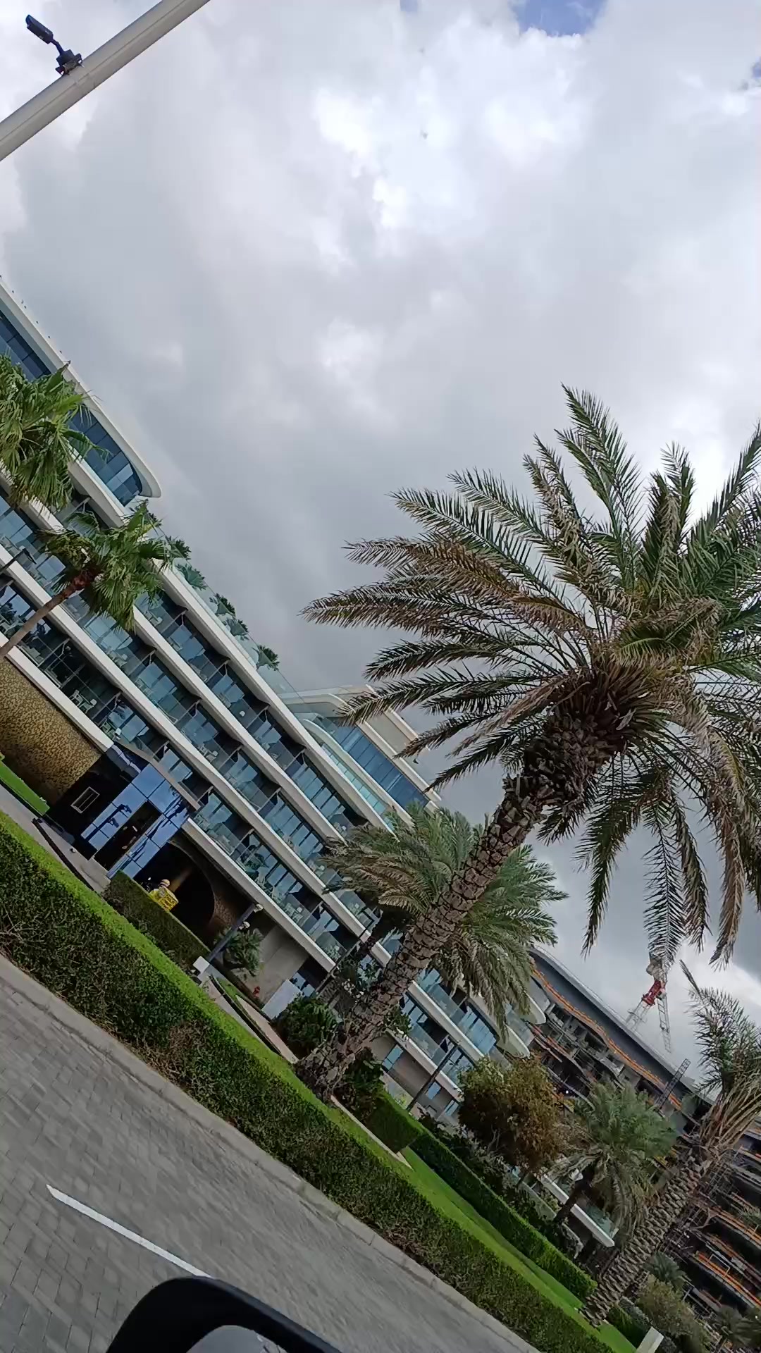 @🌈جنگلی لوگ🦅