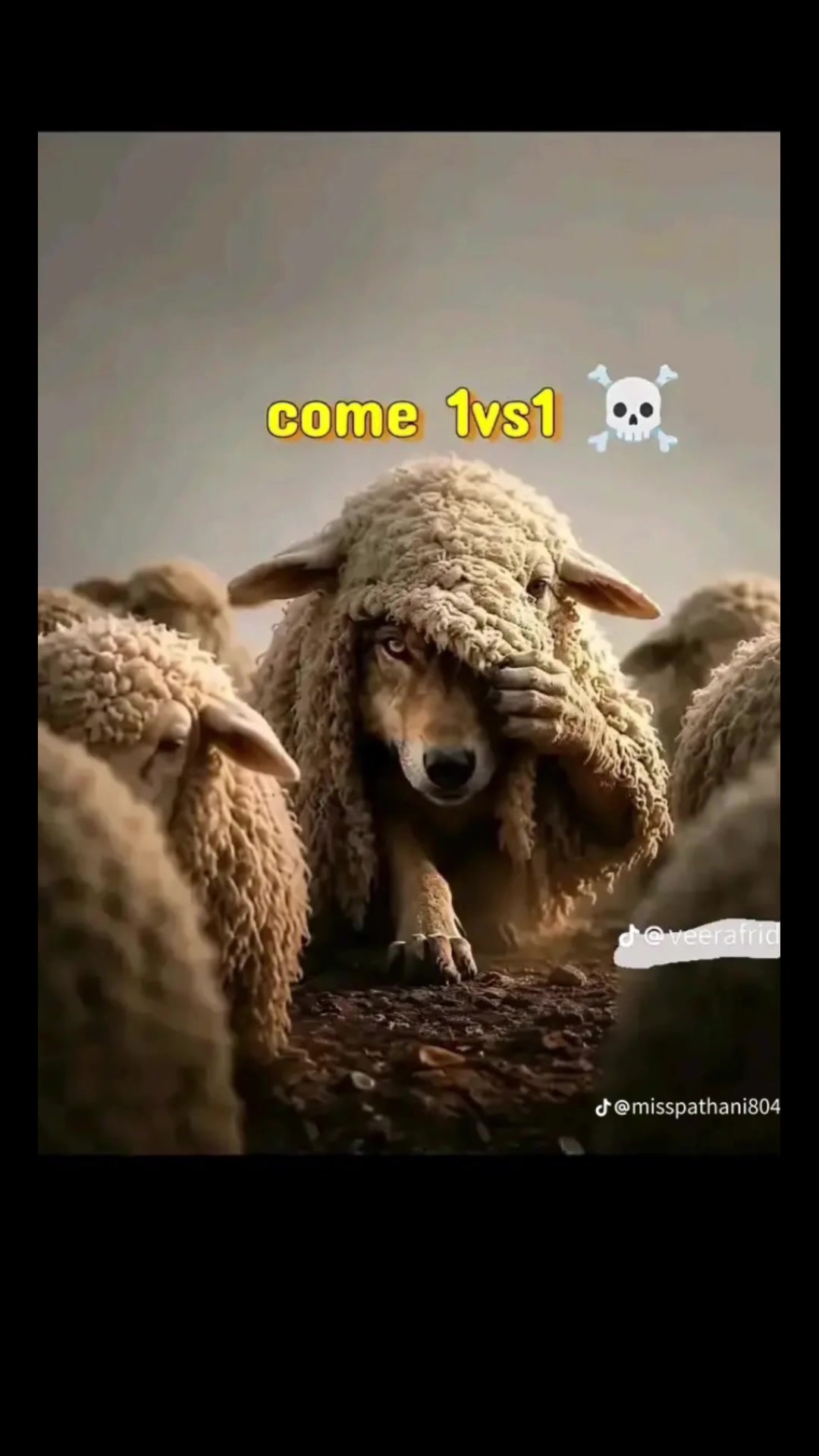 @kingofevil1