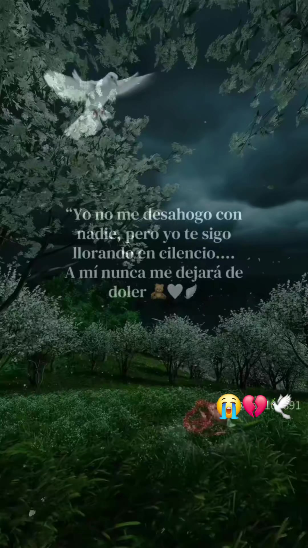 @Wendy. M.O.8