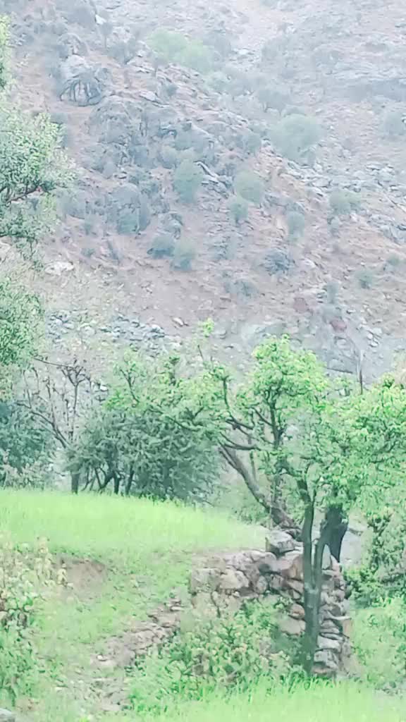 @zarbatkhan