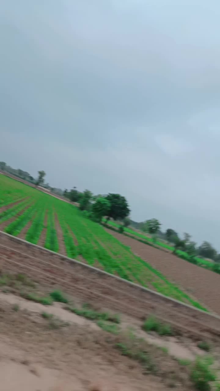 @m.ziafat