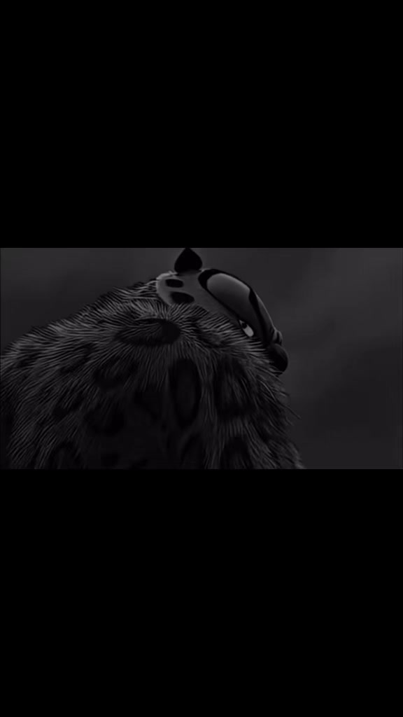 @Motivación Delfino🥷🏼🫵🫶🔥
