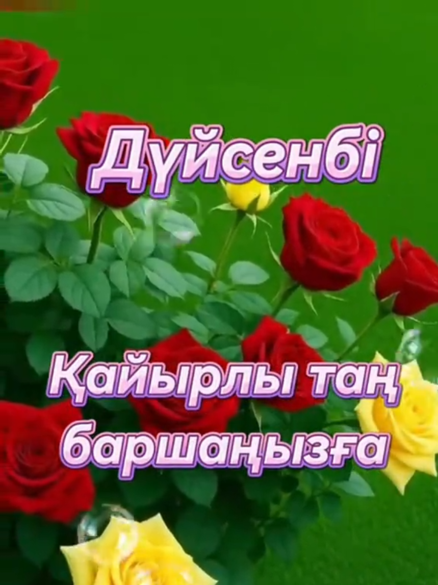 @Зулхумар Курбанбекова⭐️⭐️🔥