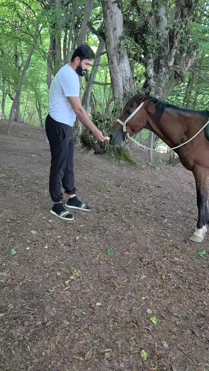 @Asadov