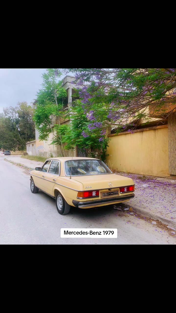 @مصطفى اكريم📸