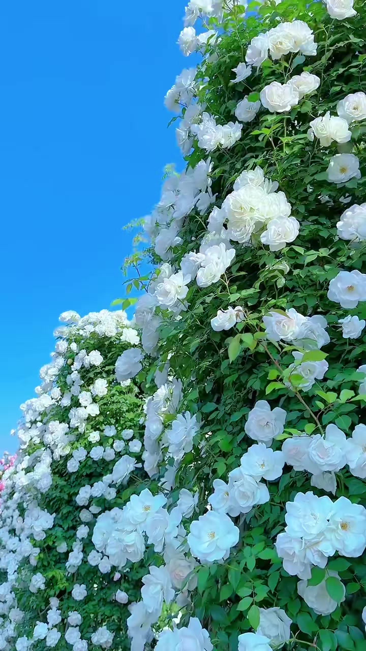 @Madina__32
