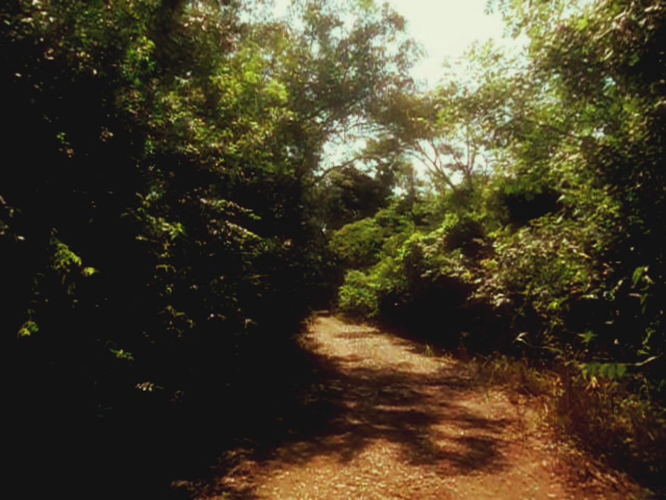 @Silent Refuges