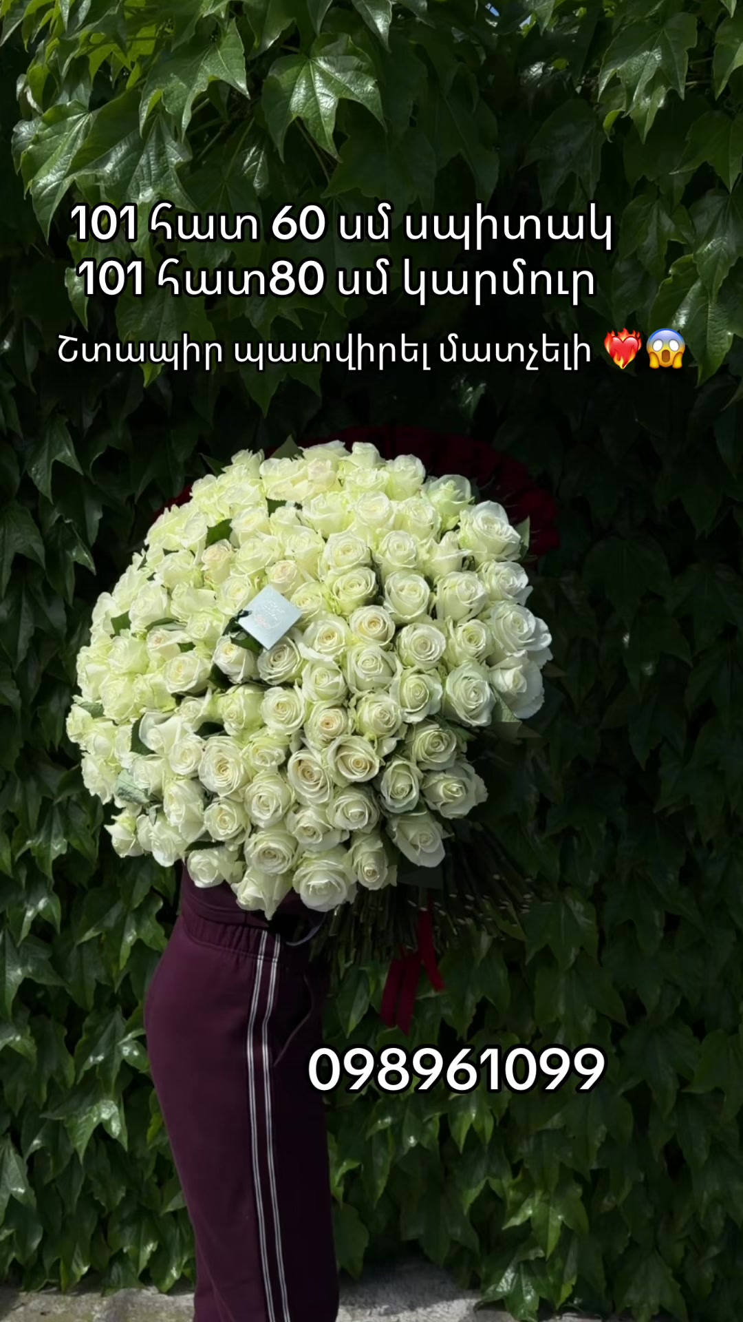 @Թարմ Վարդեր 🌹