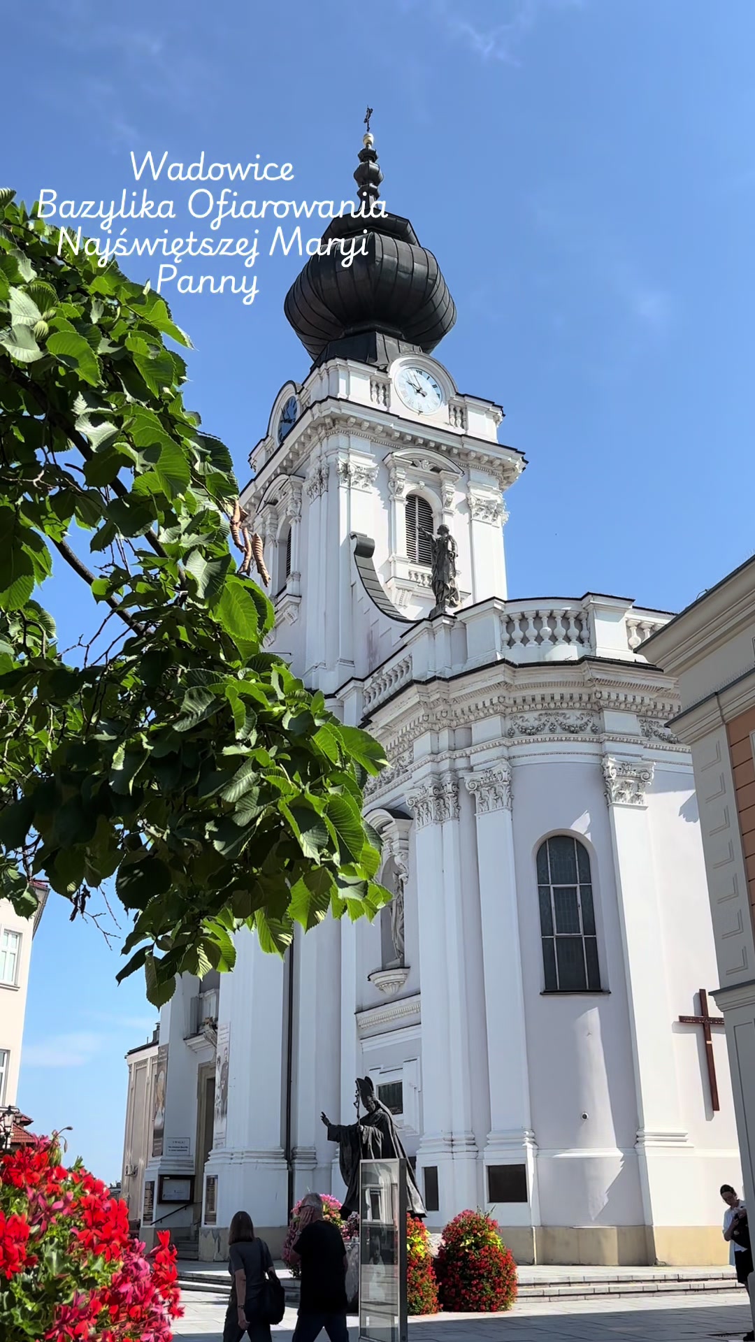 @Елена