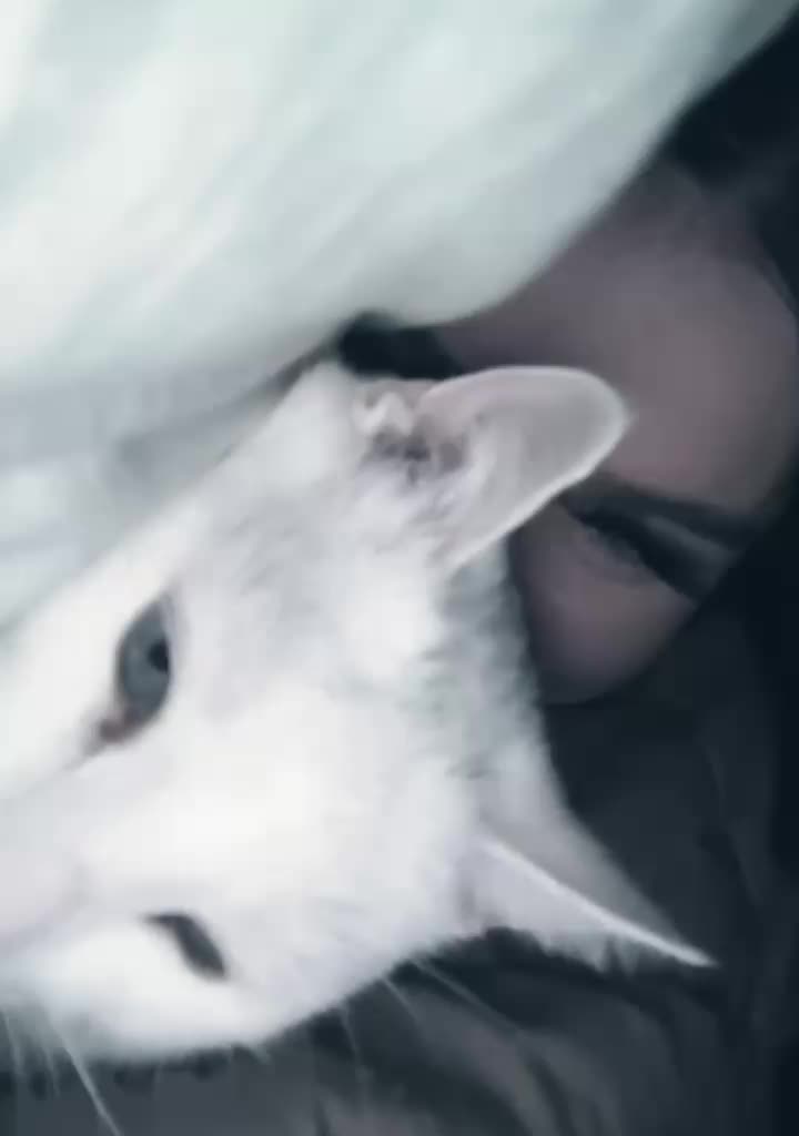 @кама