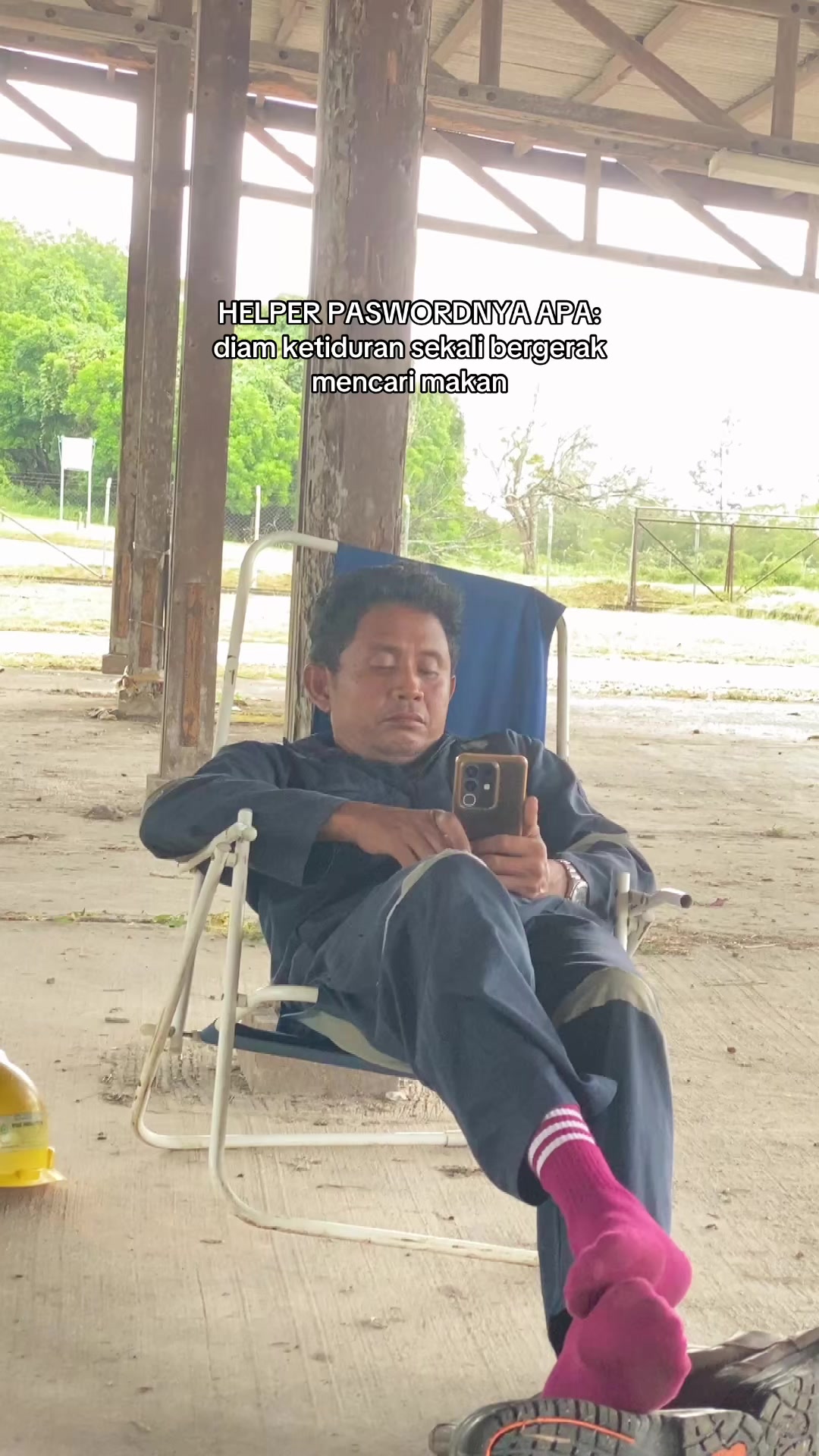 @comink🪼