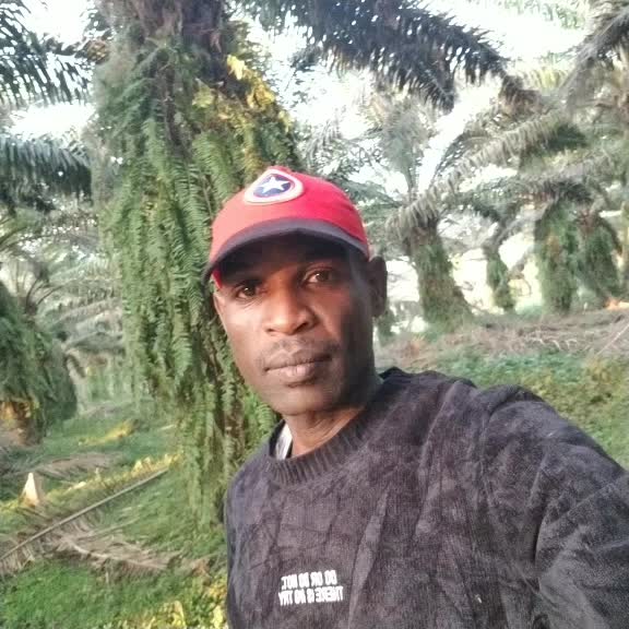 @user7913368885280
