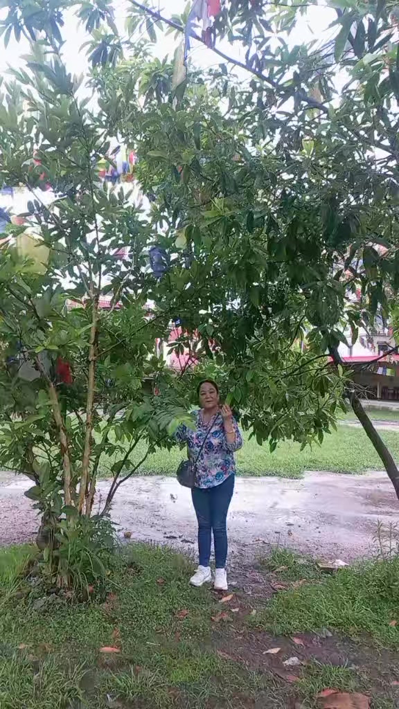 @Muna lama