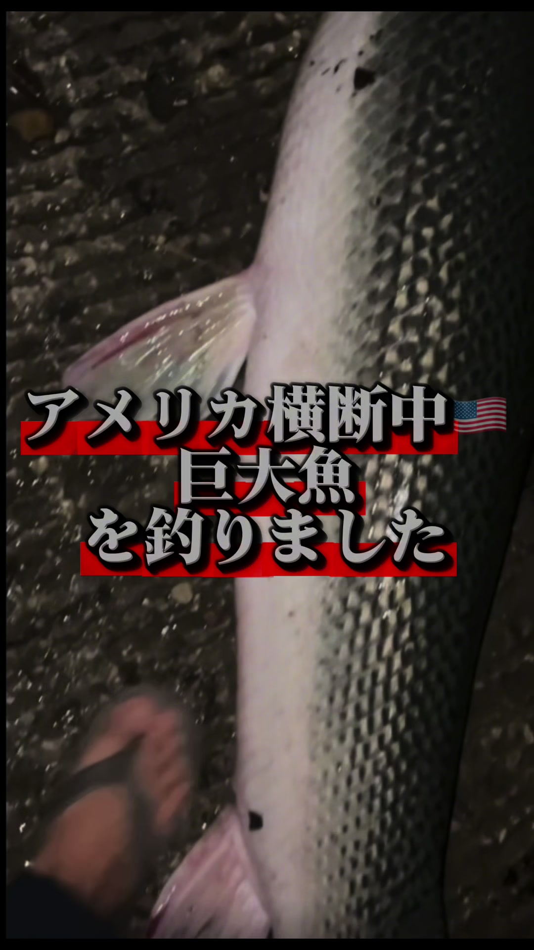 @Kaito_AcrossAmerica🇺🇸