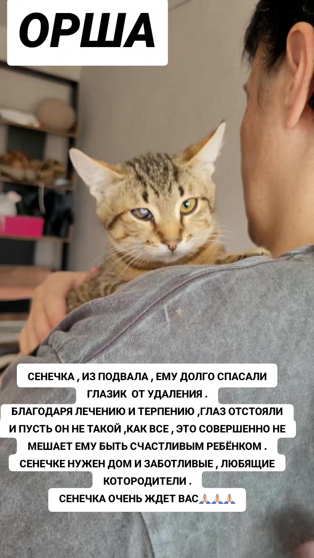 @marinka20_09