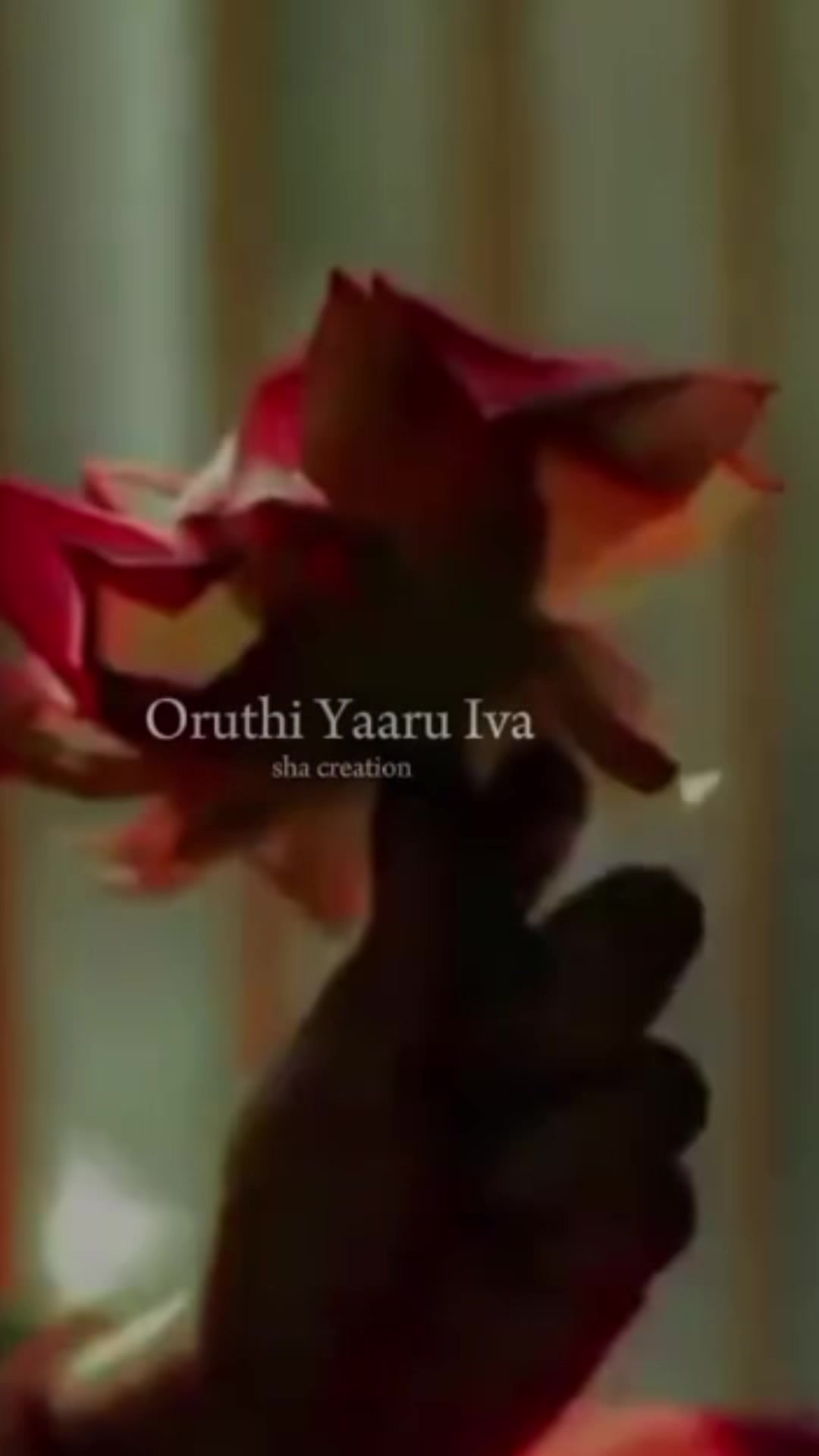 @(●♡印◡度♡●)✨indhu✨