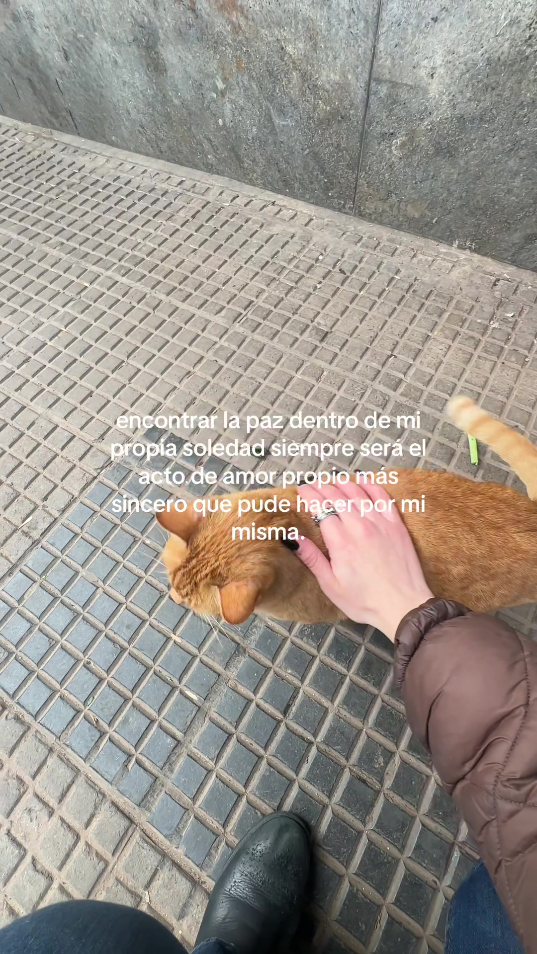 @nani 🐈⬛